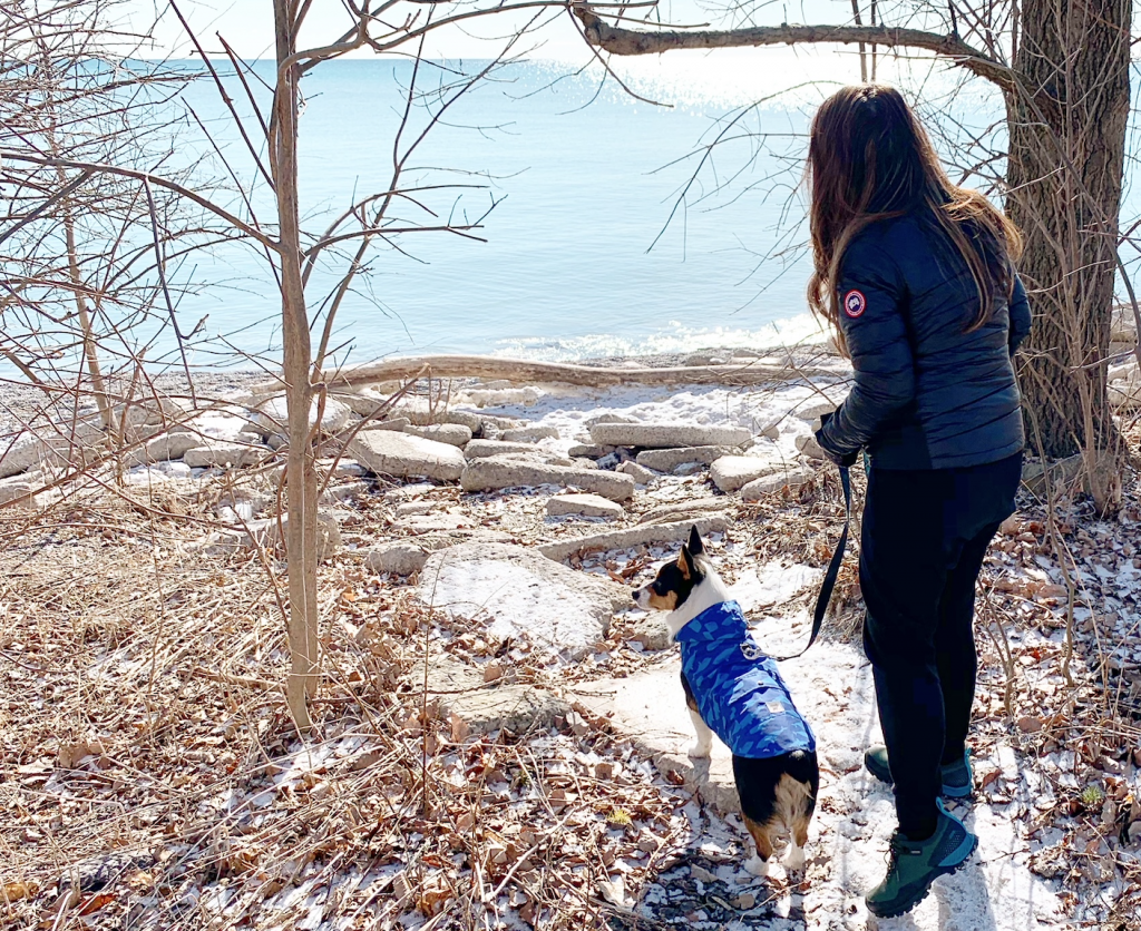 Bluffer's Park Scarborough