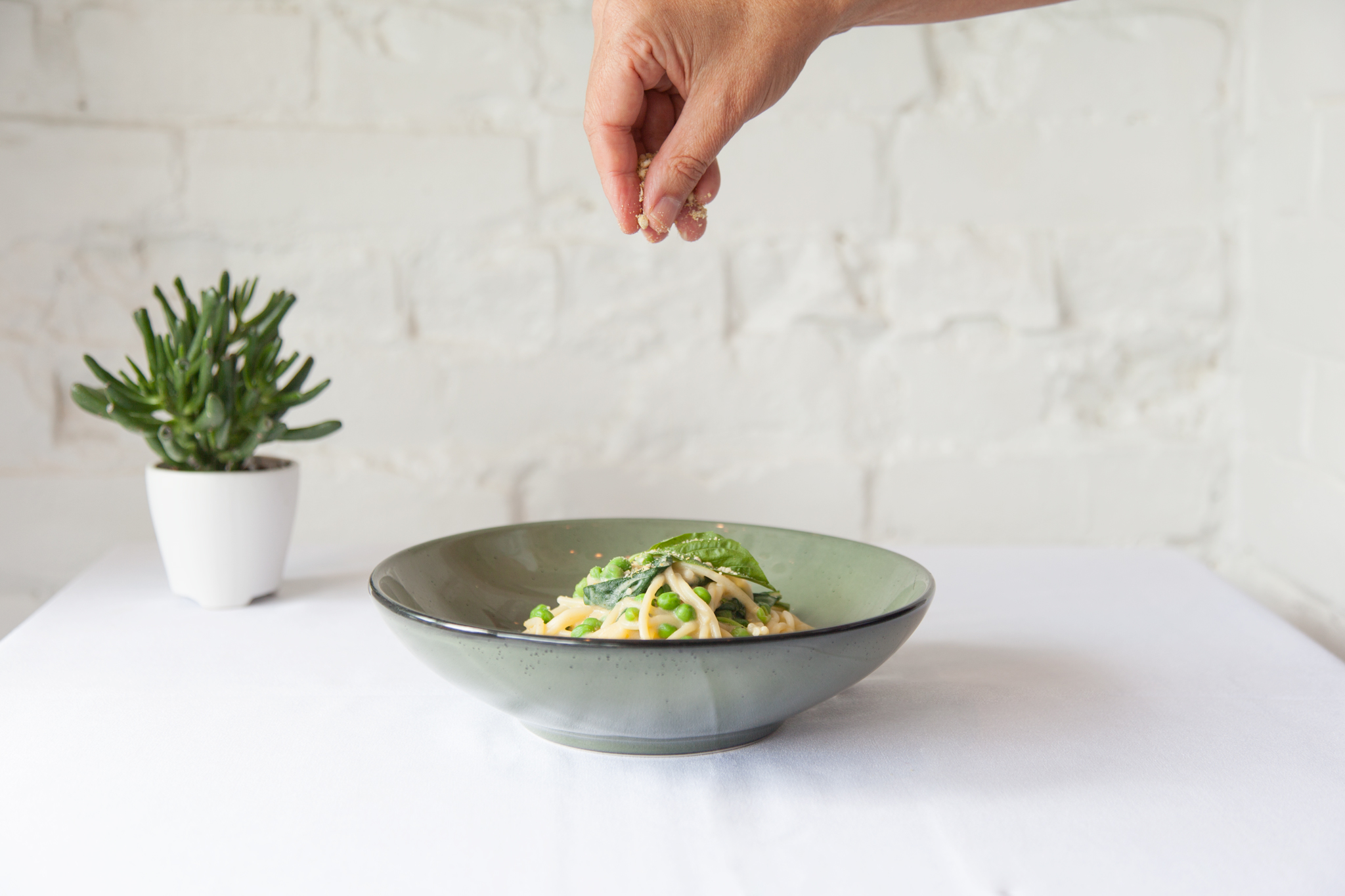 il fornello plant based