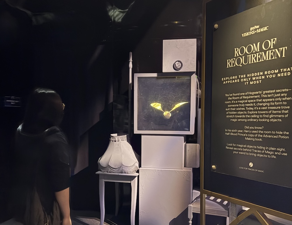 Harry Potter: Visions of Magic photo credit: Sonya D